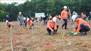 Công ty Nhiệt điện Nghi Sơn gặp mặt đầu xuân và tổ chức Tết trồng cây Xuân Quý Mão năm 2023